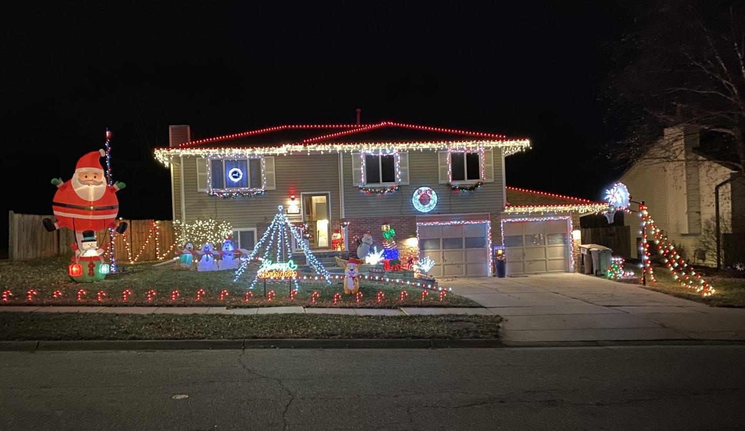 4231 Bingham Lane
